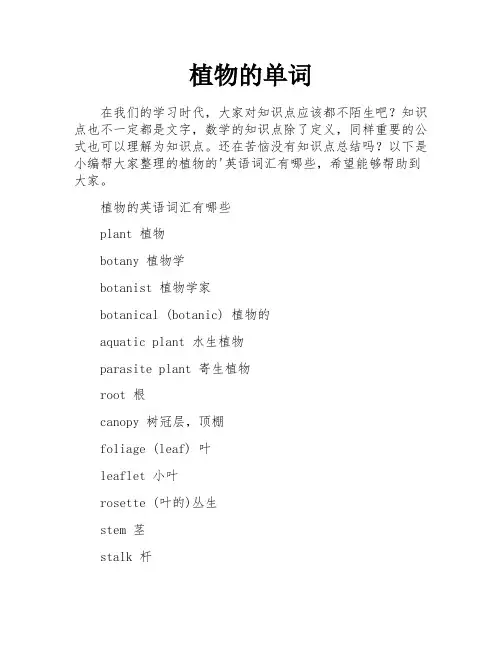 植物的单词