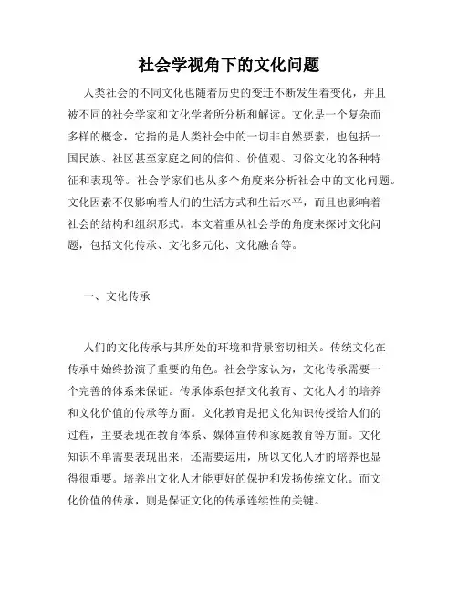 社会学视角下的文化问题