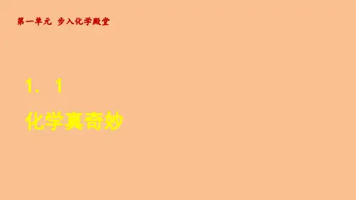 1.1 化学真奇妙(课件)鲁教版(2024)化学九年级上册
