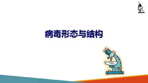 病毒学基础 病毒形态与结构