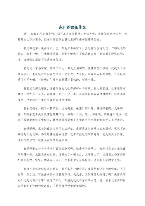 东川的面条作文