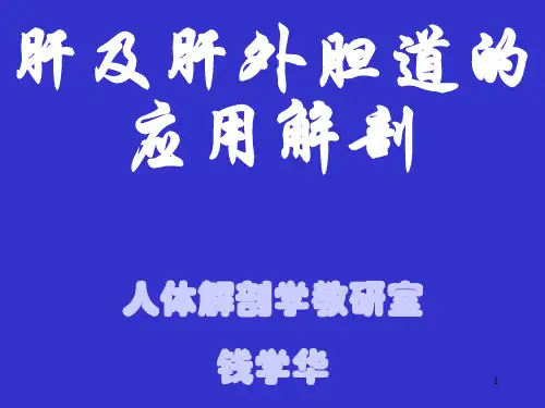 肝及肝外胆道的应用解剖讲诉PPT课件