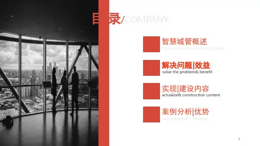 智慧城管概述文档资料