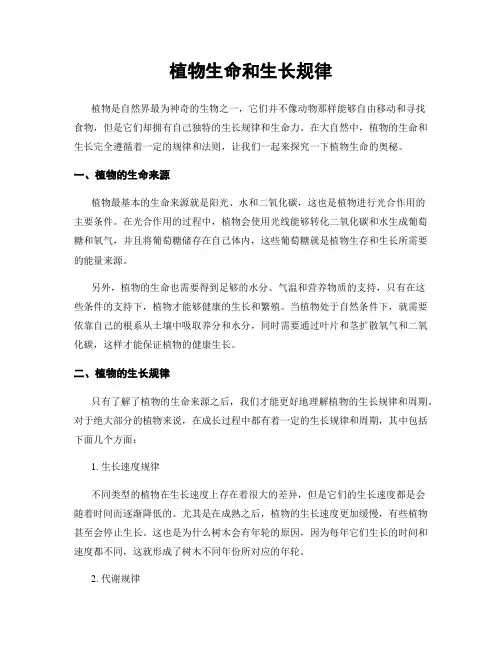植物生命和生长规律