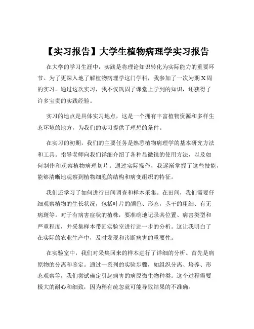【实习报告】大学生植物病理学实习报告