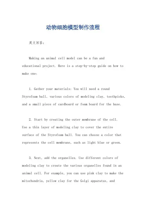 动物细胞模型制作流程