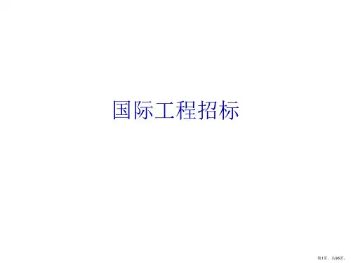 国际工程招标文件