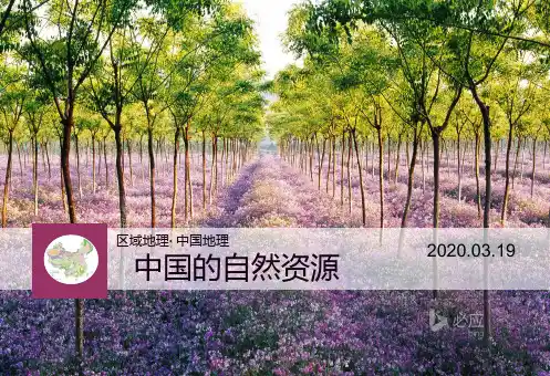 高中地理 中国的自然资源(60张ppt)