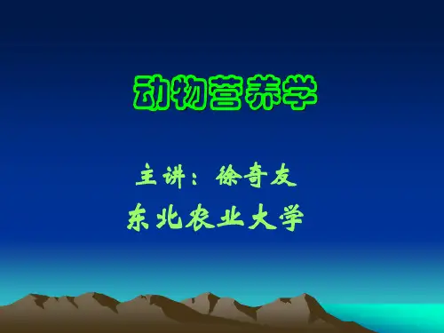 动物营养学(能量)