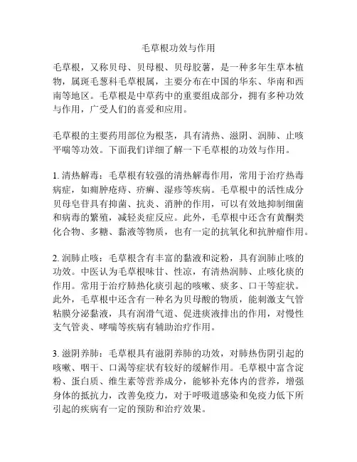 毛草根功效与作用