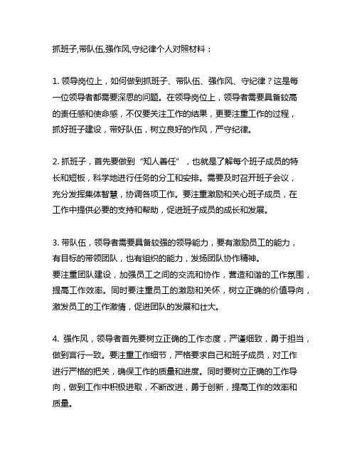 抓班子,带队伍,强作风,守纪律个人对照材料