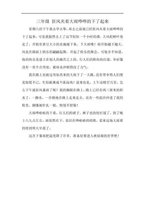 三年级 狂风夹着大雨哗哗的下了起来