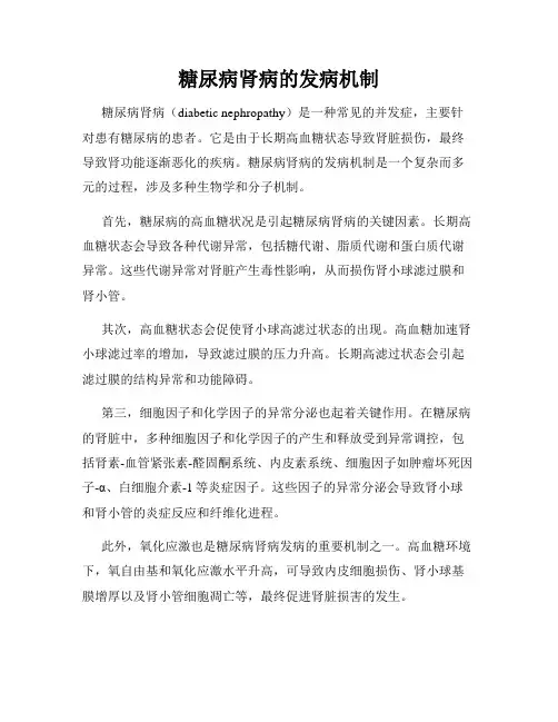 糖尿病肾病的发病机制