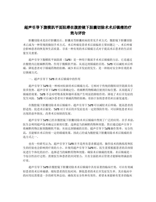 超声引导下腹横肌平面阻滞在腹腔镜下胆囊切除术术后镇痛的疗效与评价