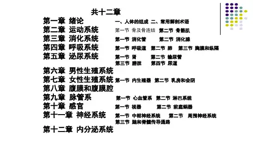 人体解刨学