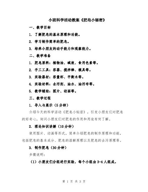 小班科学活动教案《肥皂小秘密》