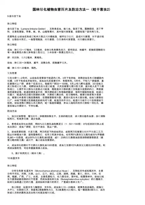 园林绿化植物虫害图片及防治方法一（蛀干害虫2）