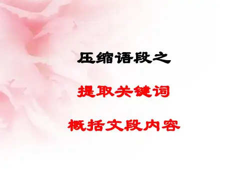 提取关键词 ,概括内容分析