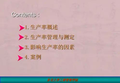 工业工程第三章生产率概述