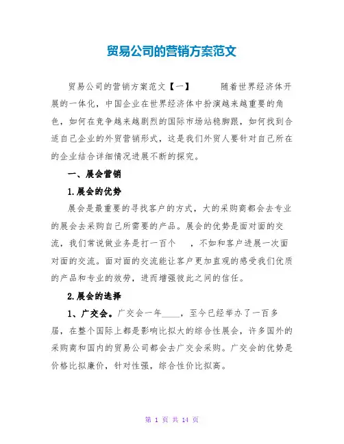贸易公司的营销方案范文