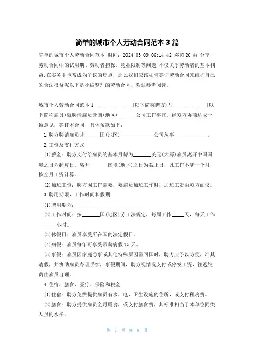 简单的城市个人劳动合同范本3篇