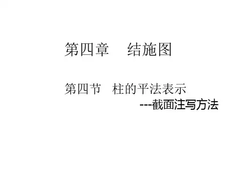 柱的平法表示