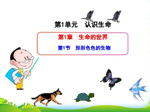 七年级生物上册 第1单元 认识生命 第1章 生命的世界 第1节 形形色色的生物课件 北师大