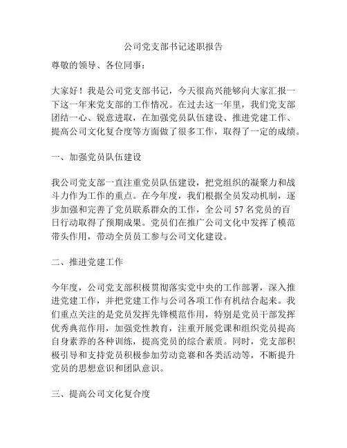 公司党支部书记述职报告