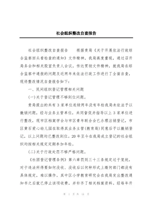 社会组织整改自查报告
