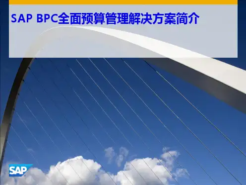 SAP-全面预算管理解决方案BPC(共46张PPT)
