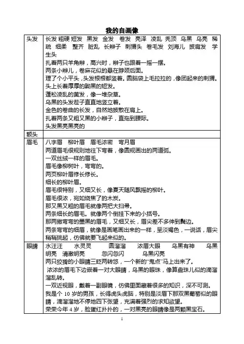 我的自画像表格