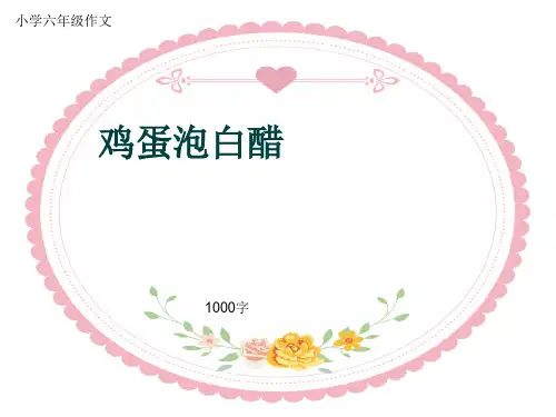 小学六年级作文《鸡蛋泡白醋》1000字(共12页PPT)