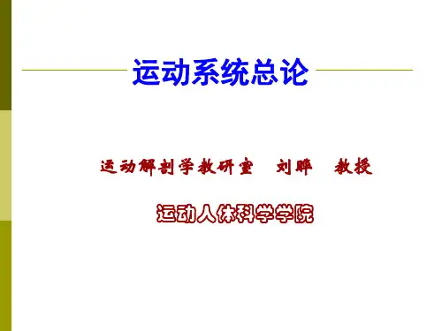 运动系统总论