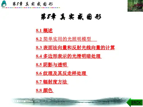 研究生计算机图形学-第8章精品PPT课件