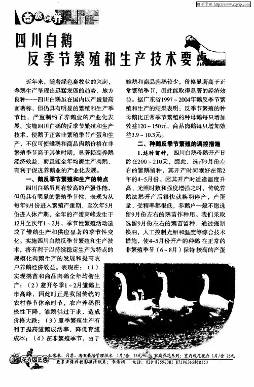 四川白鹅反季节繁殖和生产技术要点