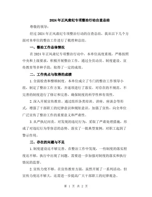 2024年正风肃纪专项整治行动自查总结