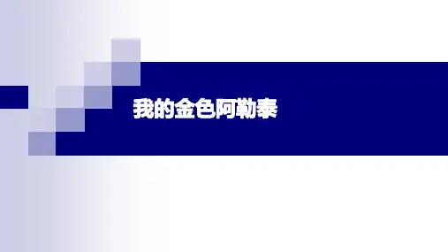 人音版 七年级下册音乐 第三单元 我的金色阿勒泰 赛乃姆 课件 (共18张PPT)