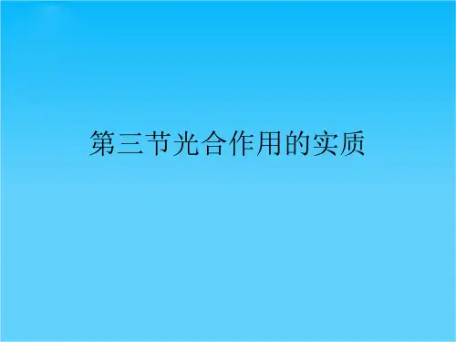 甘肃省瓜州县第二中学七年级生物上册 第6章 第3节 植物光合作用的实质课件3 苏教版