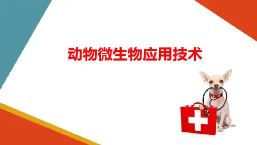 免疫诊断与防治—抗感染免疫(动物微生物技术课件)