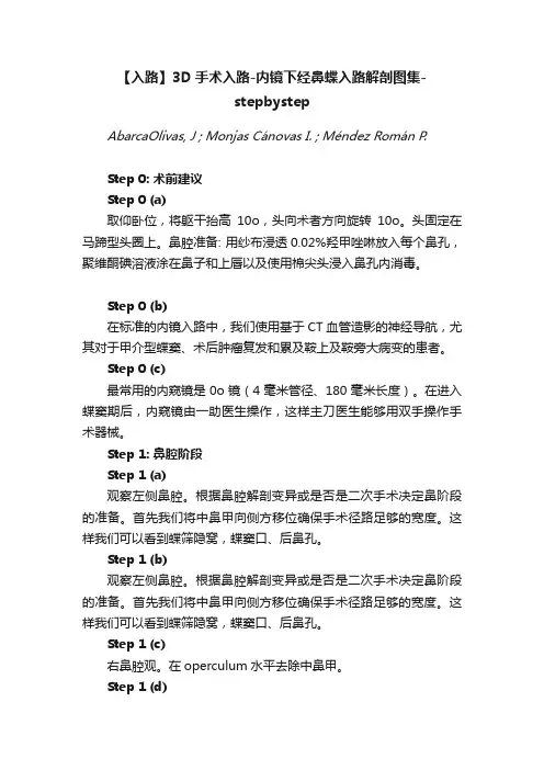 【入路】3D手术入路-内镜下经鼻蝶入路解剖图集-stepbystep