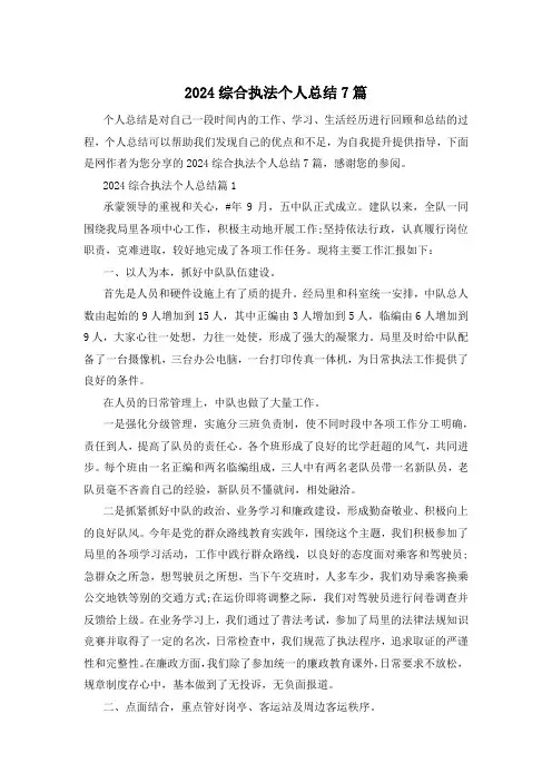 2024综合执法个人总结7篇
