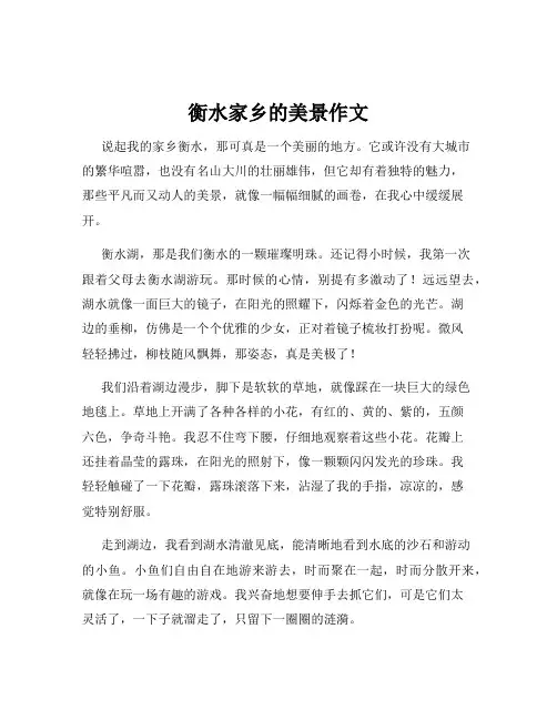 衡水家乡的美景作文