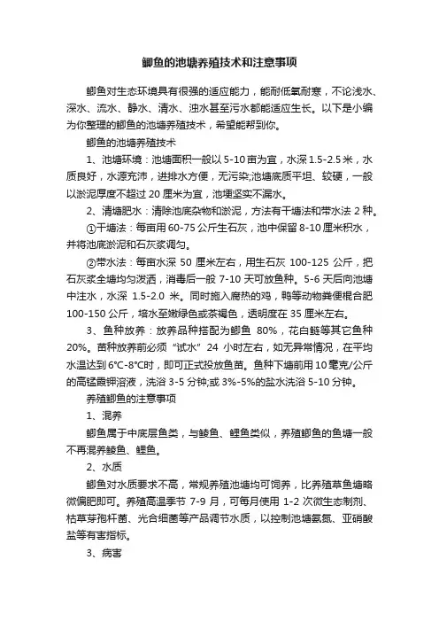 鲫鱼的池塘养殖技术和注意事项