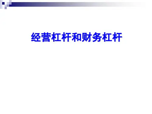 经营杠杆和财务杠杆1ppt课件