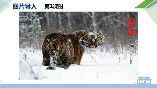 白山黑水东北三省综合版ppt课件.pptx