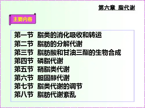 脂肪酸生物合成及ppt课件