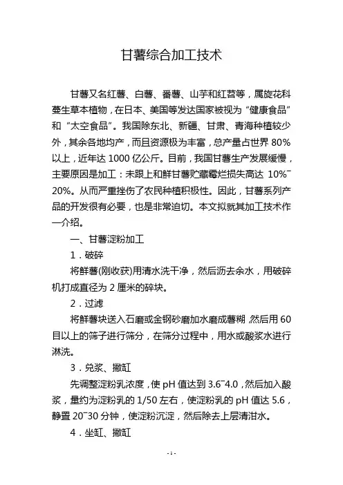 甘薯综合加工技术
