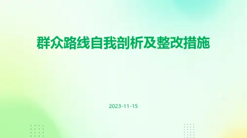 群众路线自我剖析及整改措施