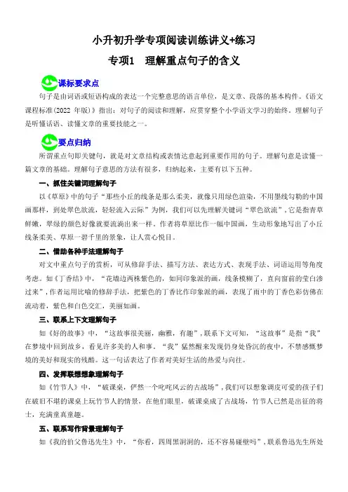 2024年小升初语文升学专项阅读训练讲义练习专项1《理解重点句子的含义》