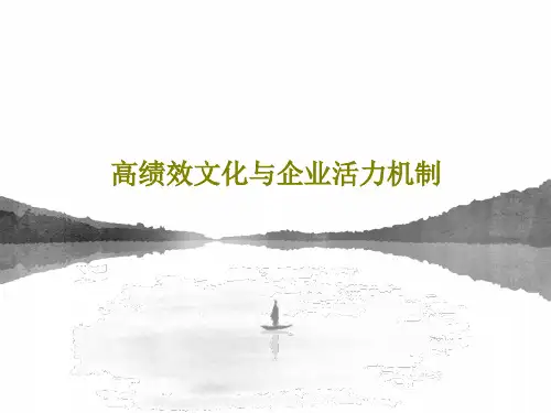 高绩效文化与企业活力机制共42页文档